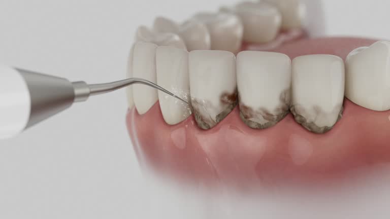 Reliable Dental contractor in Arcola, VA by Dentist Open Now